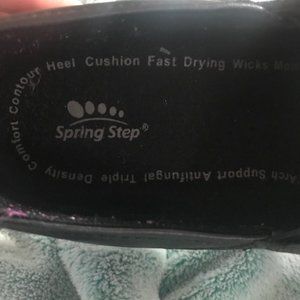 Spring Step size 10
